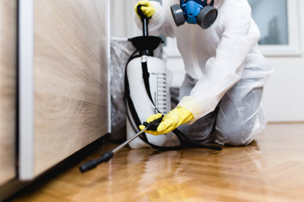 Best Pest Control for Homes  in Huntington, TX