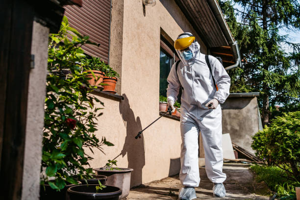 Best Residential Pest Control  in Huntington, TX