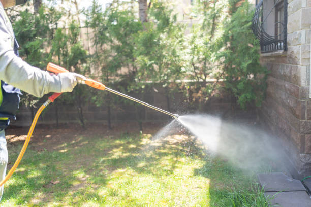 Best Bird Control  in Huntington, TX