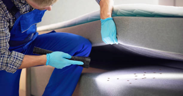 Best Affordable Pest Control Services  in Huntington, TX