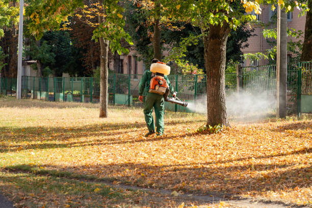 Best Rat Extermination Near Me  in Huntington, TX