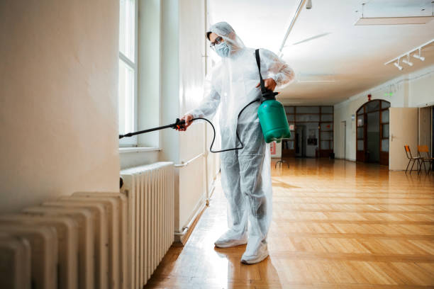 Best Flea Control Services  in Huntington, TX